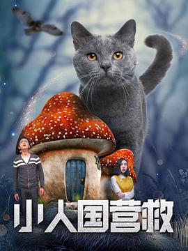国产午夜美女