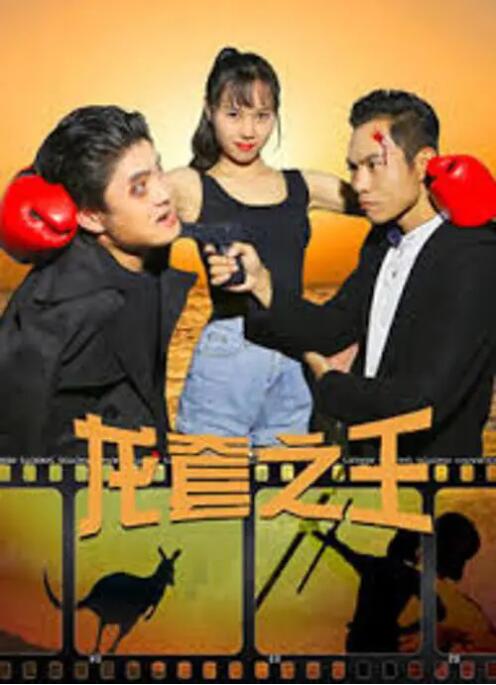 feijisu06