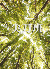 网络热门梗